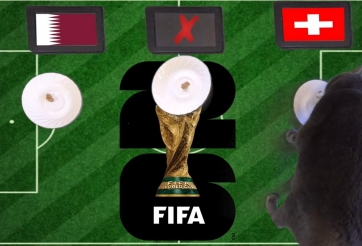 Mèo tiên tri dự đoán tỷ số Qatar vs Thụy Sĩ: Qatar gặp khó