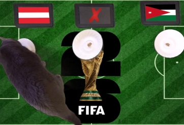 Mèo tiên tri dự đoán tỷ số Áo vs Jordan: Tân binh Jordan bị đè bẹp!