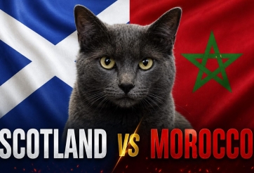 Mèo tiên tri dự đoán tỷ số Scotland vs Morocco: Kết quả gây sốc!