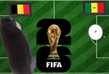 Mèo tiên tri dự đoán tỷ số Bỉ vs Senegal, 3h00 ngày 2/7/2026