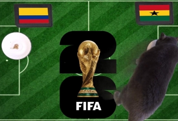 Mèo tiên tri dự đoán tỷ số Colombia vs Ghana: Đau đớn cho Colombia!