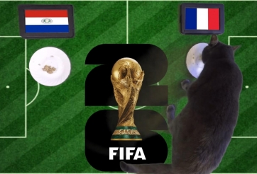 Mèo tiên tri dự đoán tỷ số Paraguay vs Pháp: Mbappe đưa Les Bleus vào tứ kết!