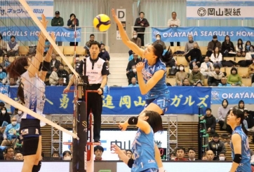 Trực tiếp bóng chuyền Okayama Seagulls vs NEC Red Rockets, 11h05 hôm nay 21/2