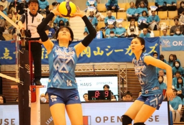 Trực tiếp bóng chuyền Okayama Seagulls vs Denso Airybees, 11h05 hôm nay 1/3
