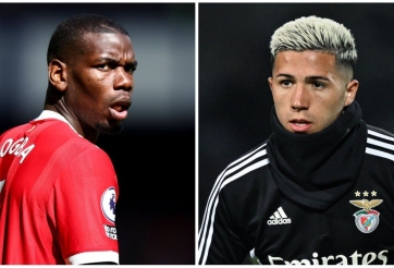 Enzo Fernandez có thể giống Paul Pogba ở Man United