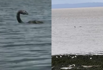 Sững sờ phát hiện 'quái vật hồ Loch Ness' xuất hiện rõ như ban ngày ở cự ly gần