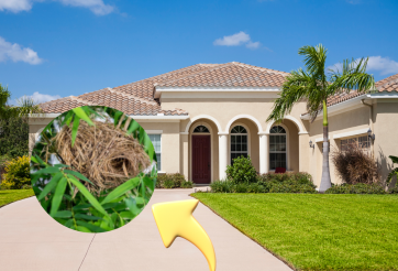 Nhà có 3 dấu hiệu này báo hiệu Thần Tài sắp ghé thăm, tài lộc ập đến, tống sạch vận đen