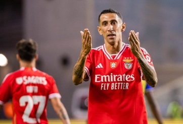 Nhận định, dự đoán Benfica vs Toulouse, 03h00 ngày 16/02/2024