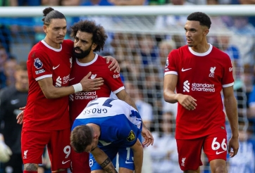 Nhận định Brighton vs Liverpool: Lữ đoàn đỏ gặp khó, 02h30 ngày 31/10