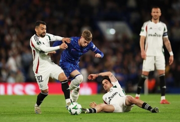 Không Palmer-ball thì cũng không có Enzo-ball?