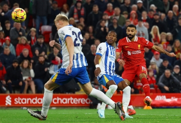 Nhận định Brighton vs Liverpool: Cơn mưa bàn thắng