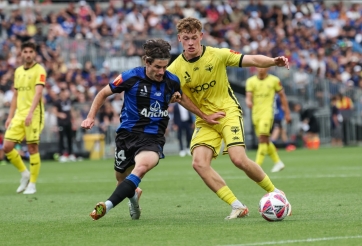 Nhận định Wellington Phoenix vs Auckland FC: Căng thẳng và kịch tính