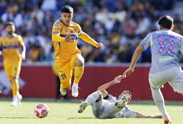 Nhận định Tigres UANL vs Seattle Sounders: Khó lường