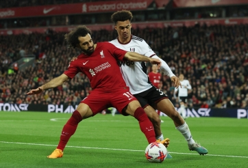 Nhận định Liverpool vs Fulham: Chủ nhà tìm lại uy danh