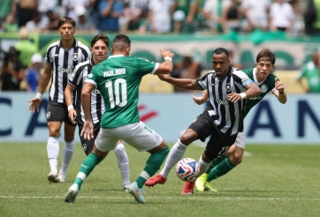 Nhận định Cerro Porteno vs Palmeiras: Liệu có địa chấn?