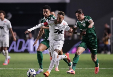 Nhận định Palmeiras vs Santos: Bá vương chinh phục