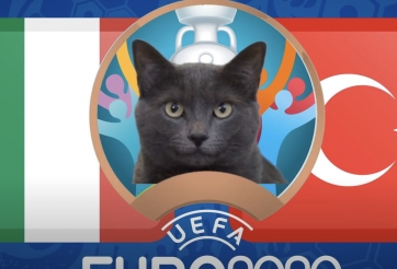 Mèo tiên tri dự đoán Thổ Nhĩ Kỳ vs Italia: Bất ngờ đầu tiên?