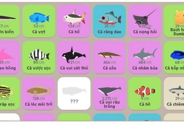 Khung giờ và địa điểm câu cá trong Play Together