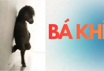 “Bá khí” là gì? Vì sao trào lưu này đang phủ sóng TikTok, Facebook?