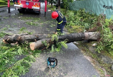 Giải cứu khẩn cấp 6 người mắc kẹt trong ô tô bị cây đè giữa mưa bão ở Đà Nẵng
