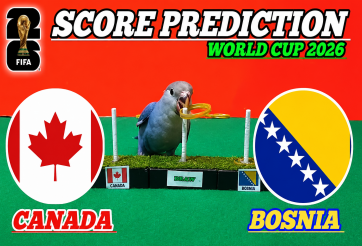 Vẹt tiên tri dự đoán tỷ số Canada vs Bosnia-Herzegovina: Kết quả cực dị
