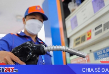 Giá xăng dầu hôm nay 6/8/2026: Giữ giá chờ điều chỉnh