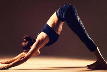 Tư thế chó úp mặt là gì? Cách tập như thế nào?