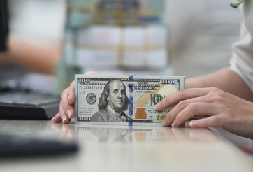 Tỷ giá USD hôm nay 03/06/2025: Thị trường phủ xanh