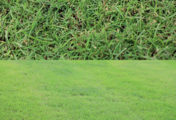 Sân Thiên Trường ‘thay áo mới’, NHM đòi bê mặt cỏ ra chảo lửa Mỹ Đình