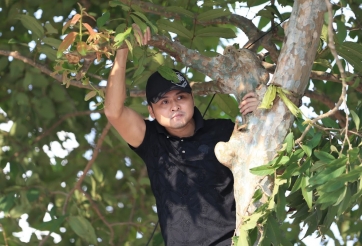 CĐV trèo lên ngọn cây để xem giải phủi hấp dẫn nhất toàn quốc