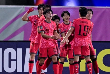 CĐV châu Á gọi tên Việt Nam khi 'tứ đại đồng văn' cùng vào bán kết