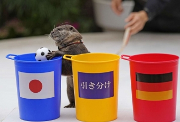 NÓNG: Xuất hiện 'truyền nhân' bạch tuộc Paul tại World Cup 2022