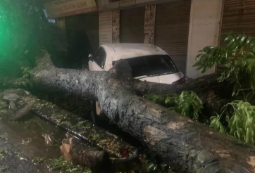 Nhiều ô tô bị cây đổ đè trúng sau cơn mưa dông lớn ở Hà Nội