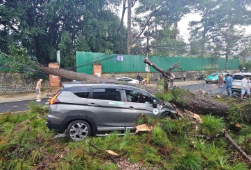 Mùa mưa bão: Bí quyết giữ an toàn cho ô tô trước nguy cơ ngập nước, cây gãy đổ trúng xe
