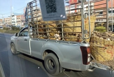 Các quốc gia trên thế giới đang quản lý xe bán tải trong thành phố như thế nào?