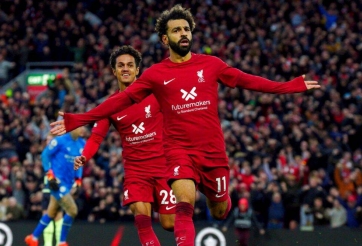 Nhận định, dự đoán Brighton vs Liverpool, 22h00 ngày 14/1