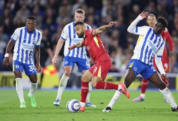 Trực tiếp Brighton vs Liverpool, 19h30 hôm nay 21/3