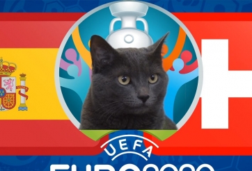 Mèo tiên tri dự đoán Tây Ban Nha vs Thụy Sĩ: Nước đi khác biệt