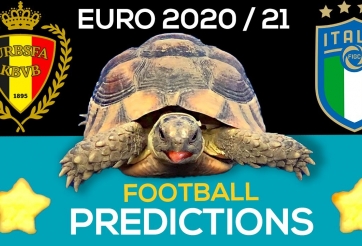 Thần Rùa tiên tri dự đoán kết quả Bỉ vs Italia: Đặt trọn niềm tin