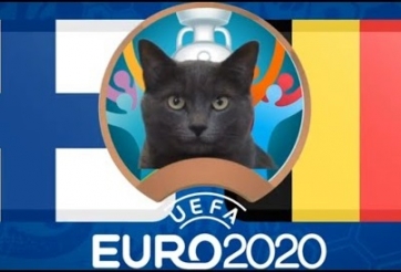 Mèo tiên tri dự đoán Phần Lan vs Bỉ: Đại gia gặp khó?