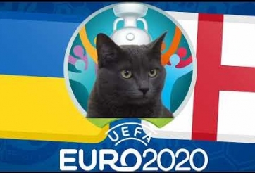 Mèo tiên tri dự đoán Anh vs Ukraina: Thuận theo 'ý trời'