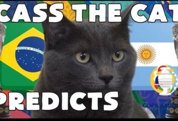 Mèo tiên tri dự đoán Brazil vs Argentina: Tín hiệu cho Messi