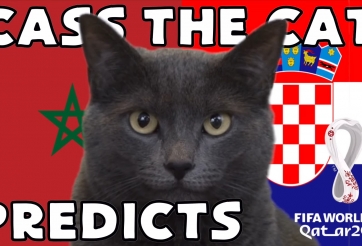 Mèo tiên tri dự đoán kết quả Croatia vs Ma Rốc: Lựa chọn an toàn!