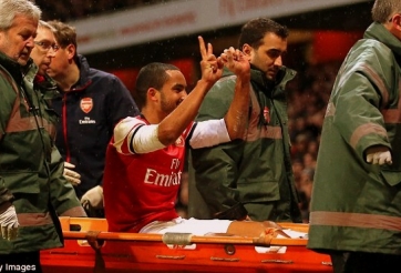 Wilshere ủng hộ hành động của Walcott trước các CĐV Tottenham