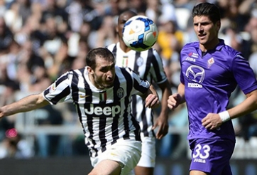 Fiorentina – Juventus: Cơ hội trong tay Viola