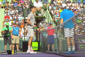 Video tennis: Pha bóng đầy tranh cãi giữa Djokovic và Murray