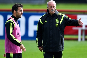 Ngứa mắt, HLV Del Bosque 'đuổi cổ' Fabregas