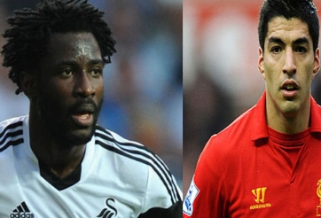 Liverpool nhắm tiền đạo của Swansea để thay thể Suarez