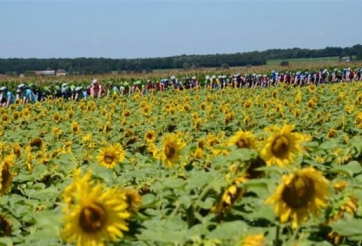 Tour de France 2014 Highlights: Chặng 4->10 - Le Touquet-Paris-Plage đến La Planche des Belles Filles