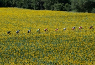 Video Tour de France 2014 Highlights: Chặng 16 đến 21 - Carcassonne tới Paris Champs-Élysées